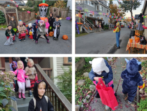 esdoorn nieuwsbrief fotos nov