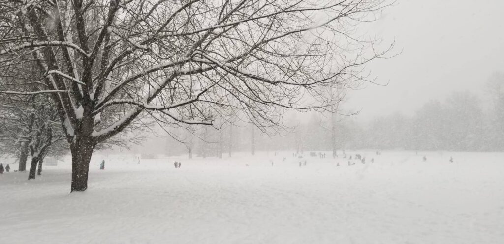 winter 2020 quilchena park img 20200115 wa0000 1