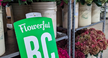 schermafbeelding 2024 05 03 om 10.19.35 445x240